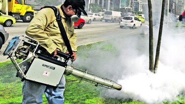 Campaña contra el mosquito ‘Aedes aegypti’