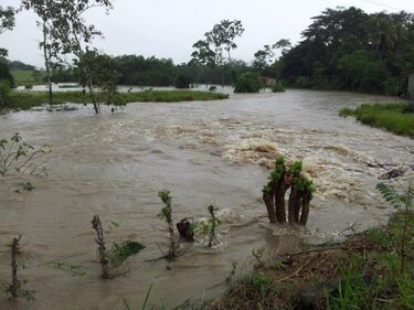Inhabilita puente de la comunidad Santa Fe en Darien