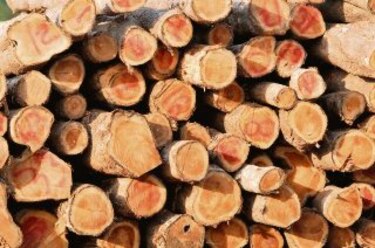 Madera confiscada suma unos $9 millones
