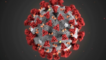 Hidroxicloroquina y azitromicina para pacientes con el virus