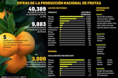 Cultivo de frutas, un negocio sin despegar