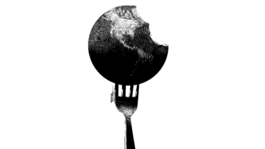 ¿Ambientalistas o ecoterroristas?