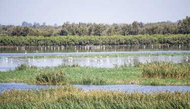 En pos del ‘eBioAtlas’