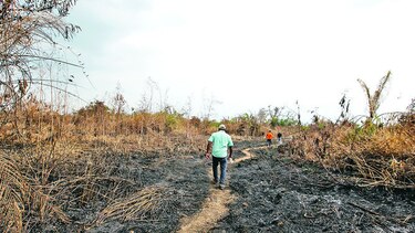 Matusagaratí será un refugio de vida silvestre