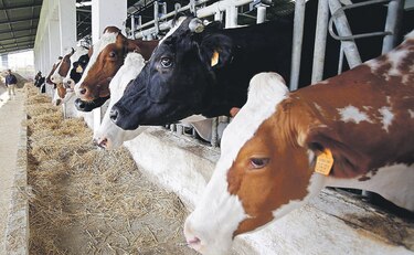 La UE se prepara para la batalla por ayudas agrícolas