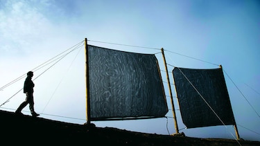 El desierto de atacama bebe agua de niebla
