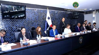 Crean subcomisión para evaluar reformas a los beneficios y auxilios económicos del Ifarhu