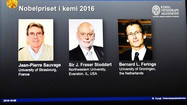 Nobel de Química a tres científicos por inventar las 'máquinas moleculares'