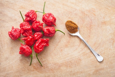 ¿Sabor o sufrimiento? Conoce cuál es el picante más fuerte del mundo