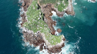 Cena justifica el bajo canon de arrendamiento en el contrato de isla Boná