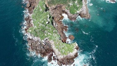 Cena justifica el bajo canon de arrendamiento en el contrato de isla Boná