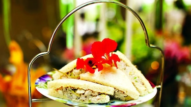 Cocina gourmet: Almuerzo al fresco