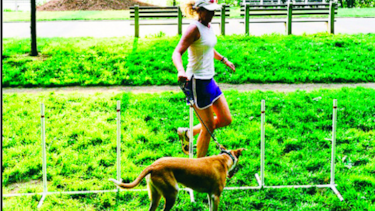 Entrenar y pasear al perro a la vez