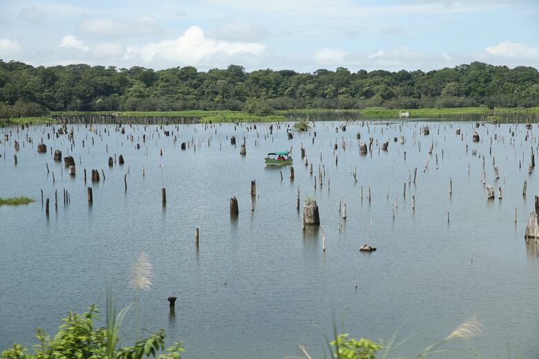 El Canal de Panamá terminó el 2023 con 30% menos de lluvia y sin nuevos reservorios a la vista