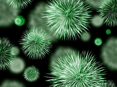 Investigadores de la UP alertan sobre bacterias resistentes en la Bahía de Panamá