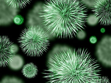 Investigadores de la UP alertan sobre bacterias resistentes en la Bahía de Panamá