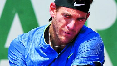 Juan Martín del Potro avanza en Abierto de Francia