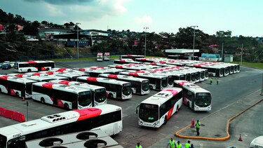 Mi Bus, ante el reto de mejorar el servicio en seis meses