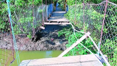 Heridas 14 personas tras colapsar puente