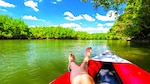 Los servicios de los ecosistemas de bosques