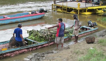 Autoridades esperan identificar a 3 mil colombianos residentes en Panamá