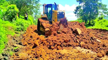 MOP abrió camino sin estudio ambiental en parque protegido