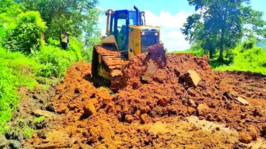 MOP abrió camino sin estudio ambiental en parque protegido