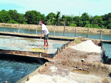 Cuota salinera será de 336 mil quintales