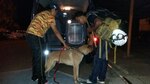 Buscan a colombiana perdida en sendero El Pianista