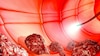 La era de la biología molecular de los tumores malignos