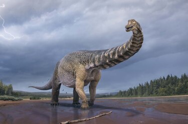 El dinosaurio más grande de Australia fue identificado como especie nueva