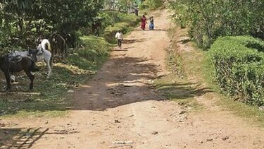 Indígenas se oponen a corregimientos