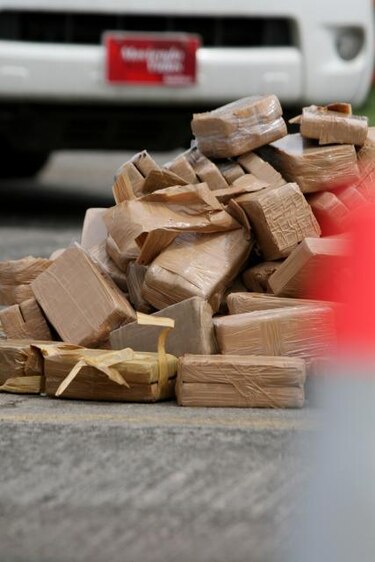 La Policía decomisa 430 kilos de cocaína en área boscosa del Canal de Panamá