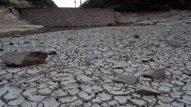Inundaciones y sequías causan un 80% de las pérdidas agrícolas, según la FAO