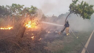 Bomberos atienden al menos ocho incendios de masa vegetal al día