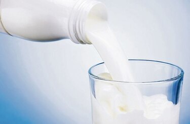 En el Día Mundial de la leche reiteran el rol de los lácteos en la salud