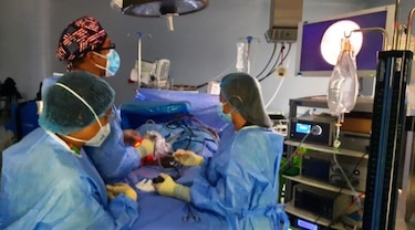 Pacientes de reemplazo articular o resonancias  de rodilla deben esperar hasta el 2025 por procedimientos