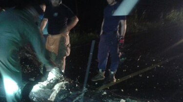 Caída de árboles y deslizamiento tras fuertes lluvias en Bocas