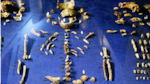 Hallan primo lejano de ‘Homo sapiens’