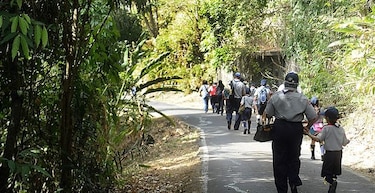 La Asociación de Scouts de Panamá realiza feria familiar