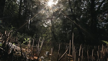 Diálogo por la biodiversidad