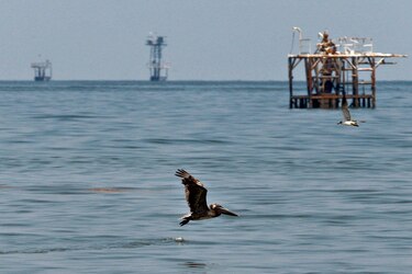 El ‘escuadrón de Dios’ con el que el gobierno de Trump autoriza nuevas perforaciones petroleras en el Golfo de México