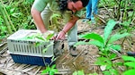 Cuando se libera la naturaleza