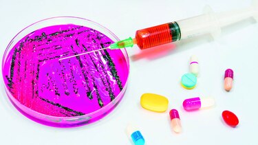 Urge esfuerzo contra superbacterias