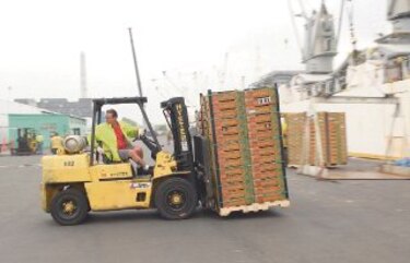 Aumentan exportaciones