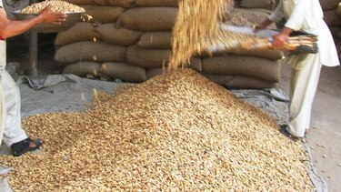 Comer cacahuetes con frecuencia es bueno para el corazón