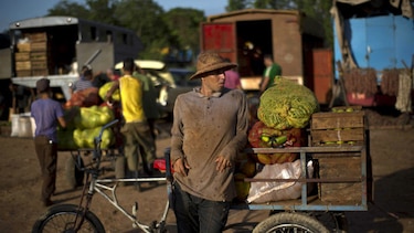 Cuba decreta control de precios en frutas y vegetales