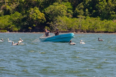 Una perspectiva tropical sobre la conservación marina
