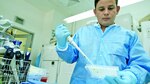 ‘Cazadores’ de virus estudian su ciclo de vida y transmisión