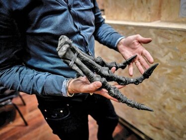 Fósiles de dinosaurios, al mejor postor